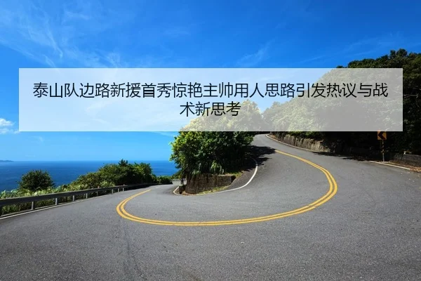 泰山队边路新援首秀惊艳主帅用人思路引发热议与战术新思考