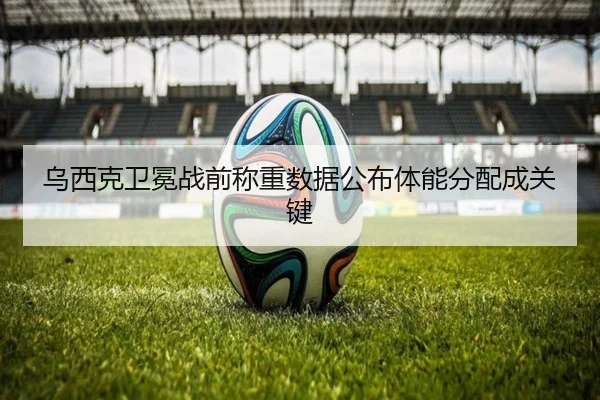 乌西克卫冕战前称重数据公布体能分配成关键